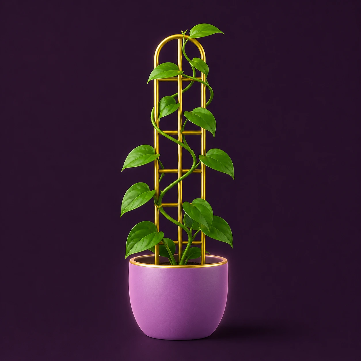 A vine climbing a gold trellis out of a purple pot, illustrating compounding organic growth